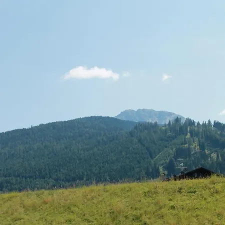 福内尔公寓 公寓